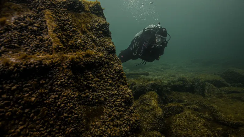 They Declared It a Historic Shipwreck. Then Divers Found Something Else Entirely.